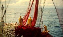 Management en haute mer